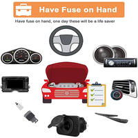 Kit de fusibles automobiles T067, 300 pièces, 2A-40A, assortiment de fusibles de remplacement, fusibles à lame automobile
