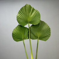 Feuilles artificielles en PU (100-200 cm) pour accessoires de mariage, usage domestique et extérieur - Motifs Tournesol, Calla, Tortue et Oiseau du Paradis