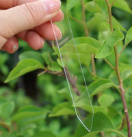 Étiquettes et marqueurs pour plantes en acrylique réutilisables, résistants aux intempéries, transparents, pour la maison et le jardin, formes de papillons et de maisons