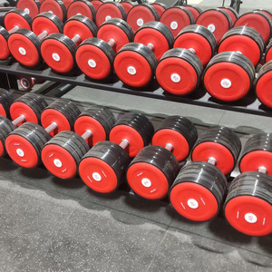 2025 mới nhất Thiết bị tập thể dục Barbell với màu đỏ - Product Image 3