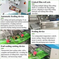 Machine d'emballage de fruits et légumes d'oreiller d'emballage de gâteau de biscuit de paquet de pain de crème glacée