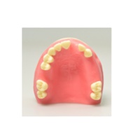 Modèle de pratique des dents d'implant Modèle de dents maxillaires