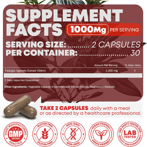 Cápsulas de Fadogia Agrestis de Alta Potência 1000mg, Fórmula Vegana para Suporte de Energia e Força Muscular - Product Image 3
