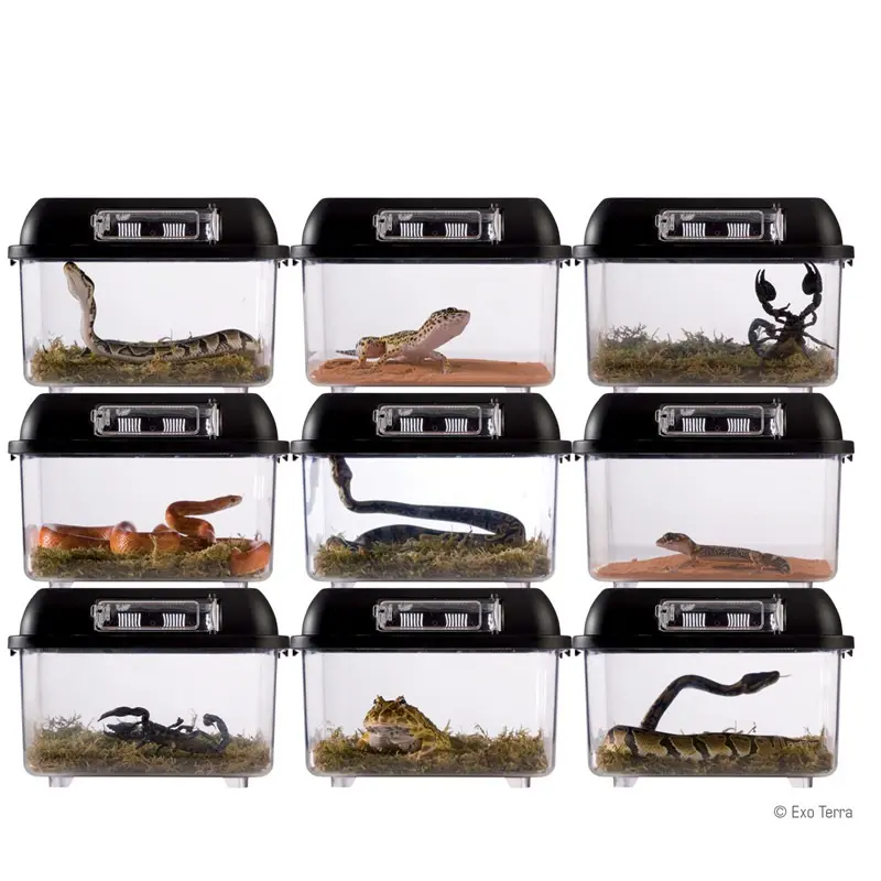 Plastik Pet kutu sürüngen kutusu yılan muhafazaları kafesleri teraryum sürüngen yetiştiriciliği kuluçka konteyner