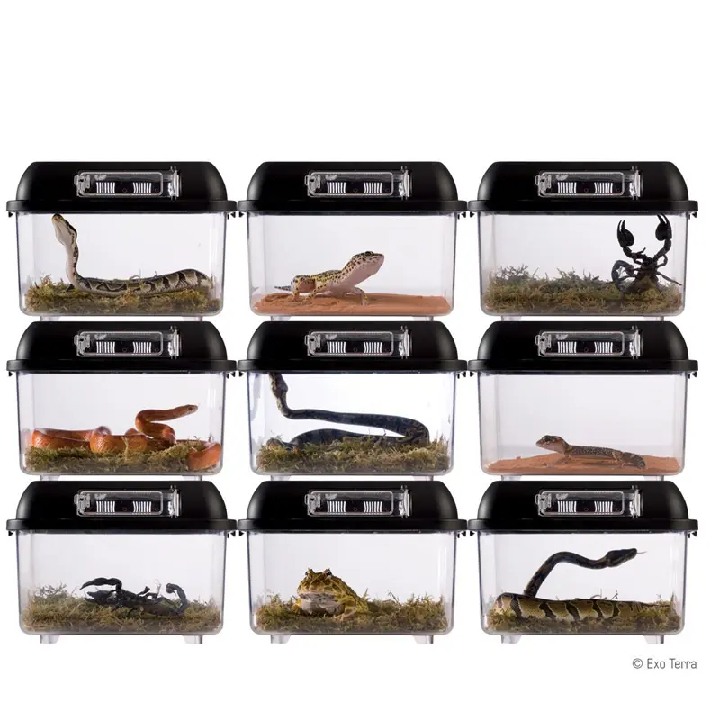 Plastic Pet Box Reptile Box Snake Enclosures Cages Terrarium Reptile Breeding Hatching Container