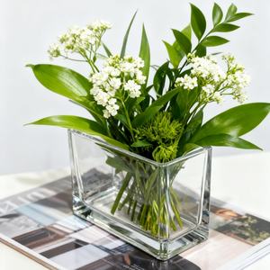 Tavolo quadrato trasparente in vetro acquario quadrato vaso di vetro decorativo quadrato rettangolare chiaro piccolo vaso di vetro <span class=keywords><strong>per</strong></span> fioriera da tavolo - Product Image 2