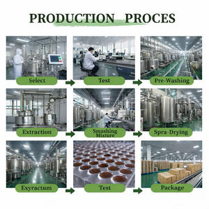 Proteína <span class=keywords><strong>de</strong></span> Suero <span class=keywords><strong>de</strong></span> Leche Aislada para Deportistas Adultos, Marca Privada, Contiene 5 <span class=keywords><strong>Tipos</strong></span> <span class=keywords><strong>de</strong></span> Proteína, Sabor Chocolate - Product Image 4