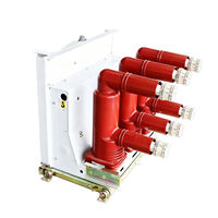 Interruptor de Vacío ZN73-12, Interruptor de Circuito de Alto Voltaje para Interiores, Parámetros Personalizables, Suministro de Fábrica, Interruptor de Vacío