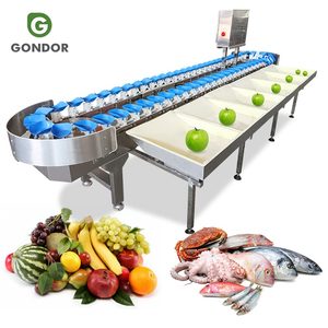 Machine de pesage et de tri haute vitesse pour fruits, kiwis, crevettes, poissons et poulets, avec fonction de calibrage et de tri par poids - Product Image 1
