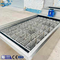 Machine à glaçons professionnelle automatique à faible consommation d'énergie pour Dubaï, production de 30 tonnes en 6 heures, capacité de 1000 kg, avec moule de fabrication de blocs de glace