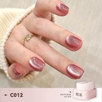 Youth Rose Vente en gros, Série 10 Couleurs Estivales, Fournitures pour ongles, Vernis gel UV effet œil de chat 3D super brillant de haute qualité pour salons de manucure
