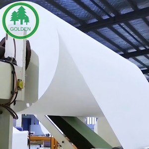 Papier d'impression pour bière à haute résistance à l'humidité, fabrication chinoise, 70GSM 75GSM 80GSM, pour étiquettes de bière sur le marché brésilien - Product Image 1