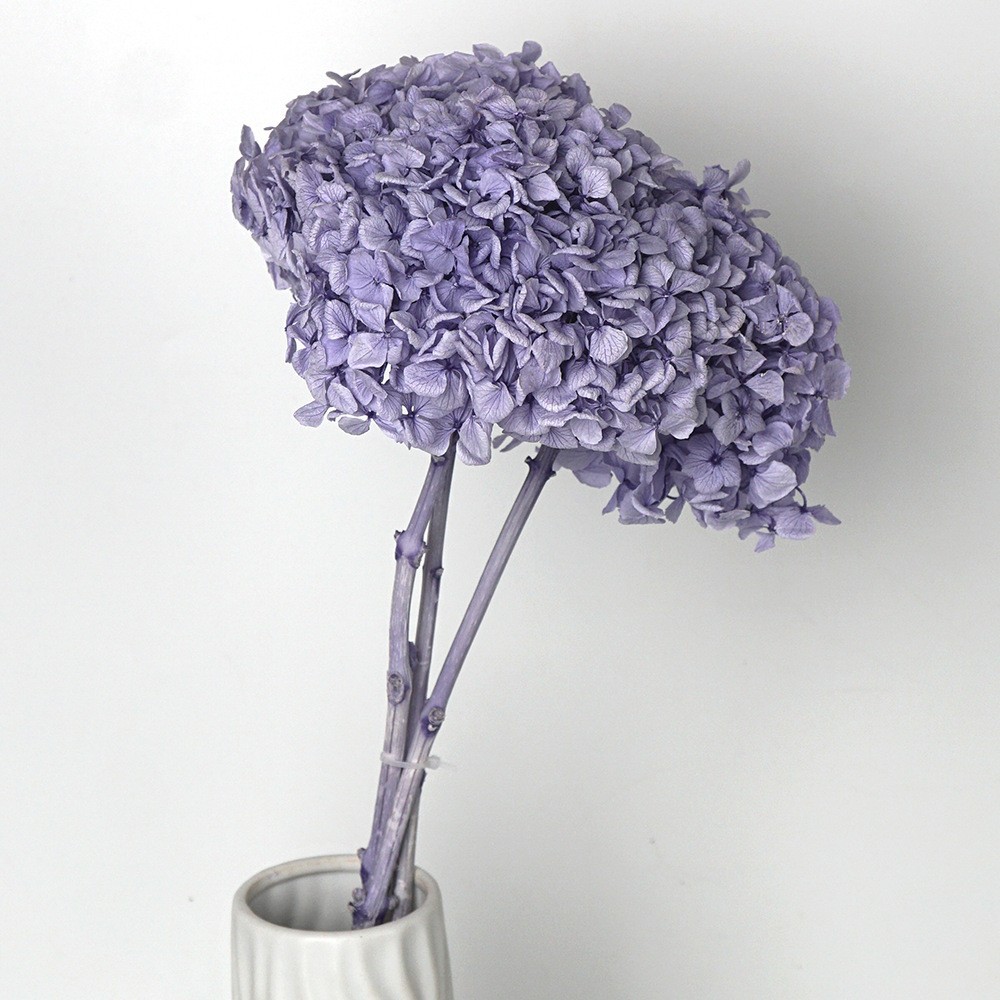 Tige unique à grandes feuilles - Lavande pourpre