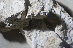 Alliage d'aluminium 1.0x50mm Renfort en fibre d'acier collée <span class=keywords><strong>pour</strong></span> les dalles en béton Améliore le contrôle des fissures dans les matériaux de construction métalliques - Product Image 6