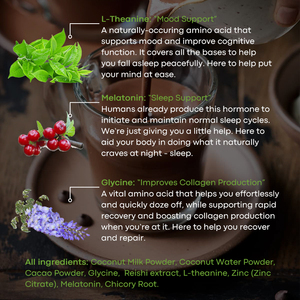 El polvo de cacao para dormir profundo contiene melatonina en polvo de cacao caliente Reishi L-teanina y Champiñón de achicoria en polvo café para ayudar a dormir - Product Image 5