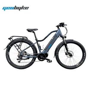 高品质48V 350W Dapu Mid Driving电动山地车/自行车/Ebike