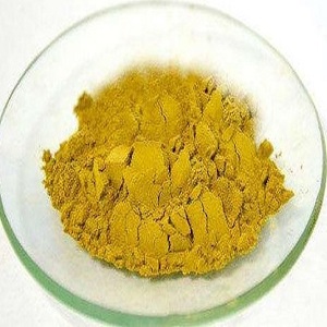 Extracto de Cardo Mariano (Silybum Marianum L.) <span class=keywords><strong>1101</strong></span> de Alta Calidad - Product Image 1