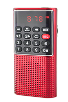 Lecteur MP3 audio multi-religieux bouddhiste/Coran/Bible/Gurbani, haut-parleur FM, petite radio en plastique, écran LED, batterie rechargeable, TF