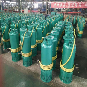 Bomba Sumergible para Minería BQS37/15KW, Centrífuga, a Prueba de Explosiones, 7.5 HP, Eléctrica, Conexión de Brida de 1-1/2 Pulgadas, para Agua de Minería - Product Image 1