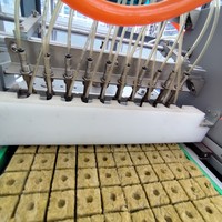 Semoir agricole automatique de précision avec 60 72 105 128 200 ou plateaux personnalisés