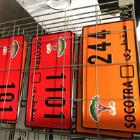 Plaques d'immatriculation automobiles en alliage d'aluminium, plaques d'immatriculation artisanales standard américaines, semi-finies, photos de marques