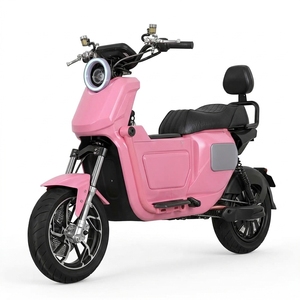 Moto de style Surron EU, moto tout-terrain haute performance, couleur et configuration personnalisables pour la vente en gros aux marques - Product Image 2