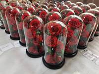 BLH Meilleur cadeau pour la Saint-Valentin Fête des Mères Noël Vente chaude Naturel Trois Roses Préservées dans une boîte cadeau de luxe en dôme de verre