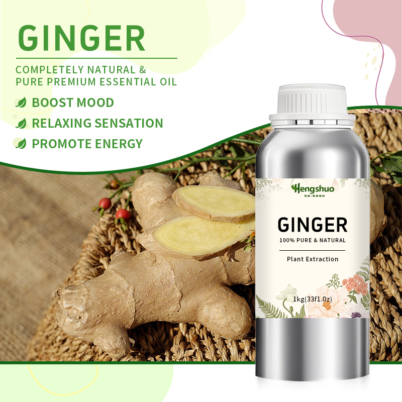 Free Sample Factory Price Bulk Ginger