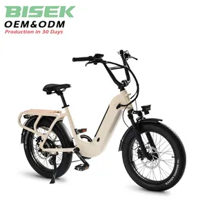 OEM Wholesale cargo bike electric ebike e cargo e bicycle with kids carrier steel Cargo Electric Bike for Business and Family