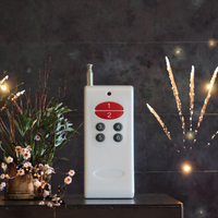 Système de Tir de Feux d'Artifice sans Fil RF Sûr avec Télécommande, Portée 1000M, Contrôleur de Déclenchement Précis 433/315MHz, Dispositif en Plastique Sécurisé