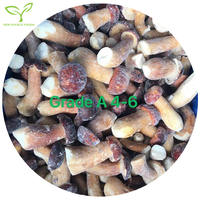 중국 야생 버섯 IQF 냉동 boletus edulis 운남