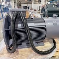 Moteur électrique IE5 avec contrôleur numérique, tension électrique 200 kW, 1460 tr/min, boîte de vitesses électrique monophasée