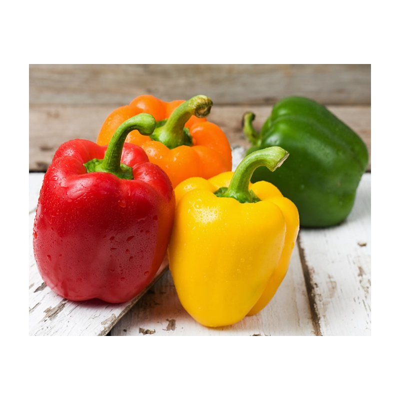 Дешевый зеленый желтый красный сладкий перец для продажи