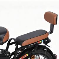 Vélo électrique OEM & ODM 500W, vitesse maximale 45 km/h, avec panier de rangement avant, siège passager et dossier
