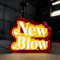 Lettres de logo en acrylique 3D miniatures, rétroéclairées et éclairées par l'avant, enseigne lumineuse pour la publicité murale