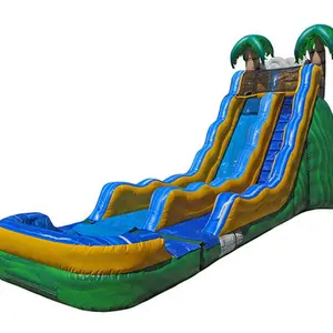 Dual Lanes Slide Inflatable Inflatable Water Slides Cheap Water Bouncy Castle Slide Bounce