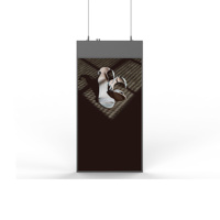 Affichage numérique LCD double face haute luminosité 700 nits pour vitrine intérieure, signalisation numérique pour centre commercial, publicité de détail
