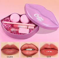 Produits de maquillage personnalisés, kits de gloss à lèvres à étiquette privée, maquillage pour les lèvres imperméable pour filles, kit de gloss à lèvres, kit de rouge à lèvres