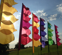 Günstige hochwertige große Festival Flaggen benutzer definierte gedruckte Logo Außenwerbung Festival Flag Banner