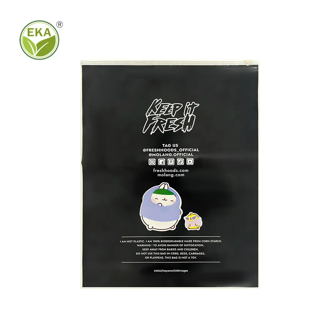 Custom Biodegradable Zip Bag Sustainable T Shirt Packaging Frosted Biodegradable Plastic Zipper Bags