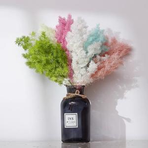 Decorazione Bestseller: Fiori Secchi, Felce Ming Conservata, Sfondo per Matrimoni e Decorazioni Murali - Product Image 6