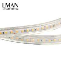 Ruban LED flexible haute luminosité 8 mm, connexion mâle-femelle, revêtement PVC, étanche IP65, SMD2835, AC220V, télécommande, intensité variable