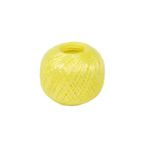 Biodegradable Polyester Nylon Colorful Plastic Rope Plastic Baler Twine for Packing from china