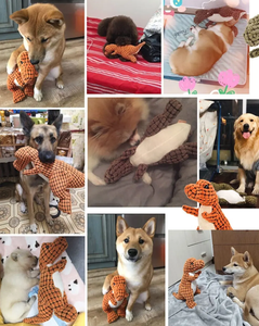 3 couleurs peluche peluche interactive jouet de dentition dinosaure chien grinçant - Product Image 6