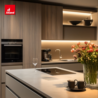 Armoires de cuisine Alland de style minimaliste luxueux en bois massif avec finition peinte et composants multifonctionnels pour le rangement