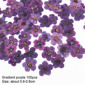 100 pièces séchées pressées petites jonquilles tête de fleur pour ongles résine moule Art Photo cadre mur artisanat enfants artisanat mariée maquillage - Product Image 6