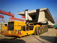 Nouveau tube long en acier de remorque de transporteur de pont de 180 tonnes pour l'équipement de manutention de poutre de béton préfabriqué