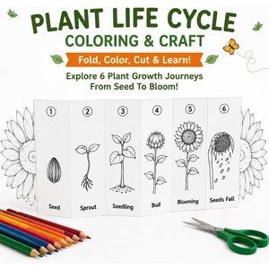 Activité sur le cycle <span class=keywords><strong>de</strong></span> vie des plantes pour enfants : Kit <span class=keywords><strong>de</strong></span> coloriage pliable en accordéon sur le parcours <span class=keywords><strong>de</strong></span> croissance des plantes, <span class=keywords><strong>de</strong></span> la <span class=keywords><strong>graine</strong></span> à la floraison - Product Image 2