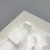 Emballage cosmétique écologique biodégradable personnalisé avec insert en pulpe moulée, plateau intérieur en fibre de papier et bagasse