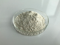 Fabriek 60% Hydroxycitroenzuur Poeder Garcinia Cambogia Extract